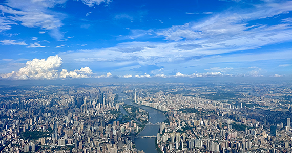 app域名*注册查询