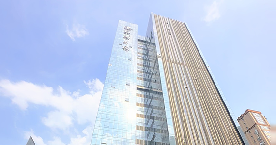 域名批量查询手机app