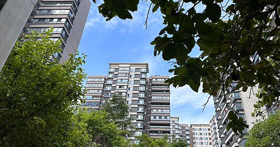 app软件域名怎么查询