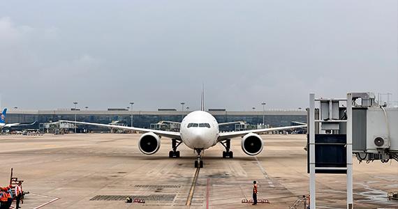 本土域名查询app