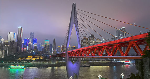 怎么查询App服务器域名信息记录