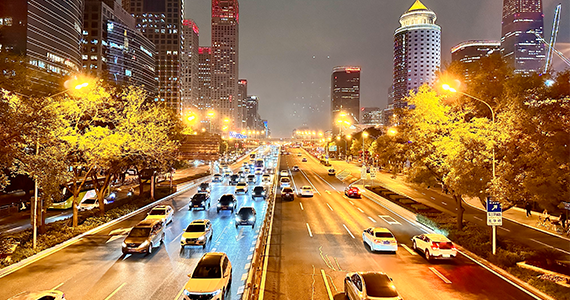 甘肃域名信息查询平台app